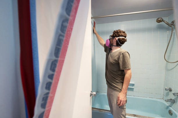 Best Biohazard Mold Removal  in Ashland, NE