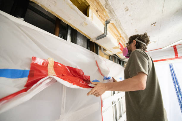 Asbestos and Lead Testing During Mold Inspection in Ashland, NE